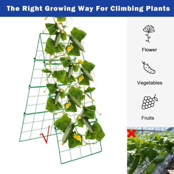 48" x 16" Foldable Metal Cucumber Trellis – Compact Garden Support for Climbing Plants - Image 4