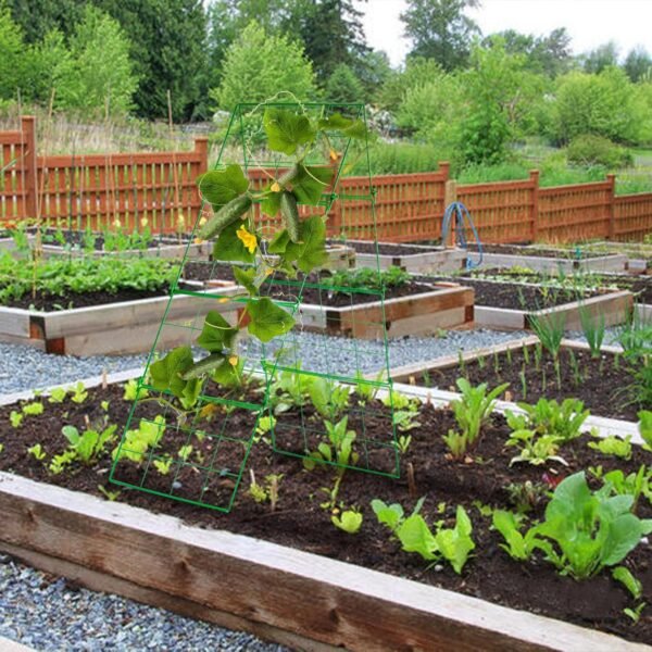 48" x 16" Foldable Metal Cucumber Trellis – Compact Garden Support for Climbing Plants - Image 5